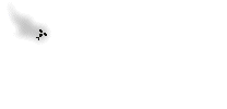 seal1.gif seal1.gif
